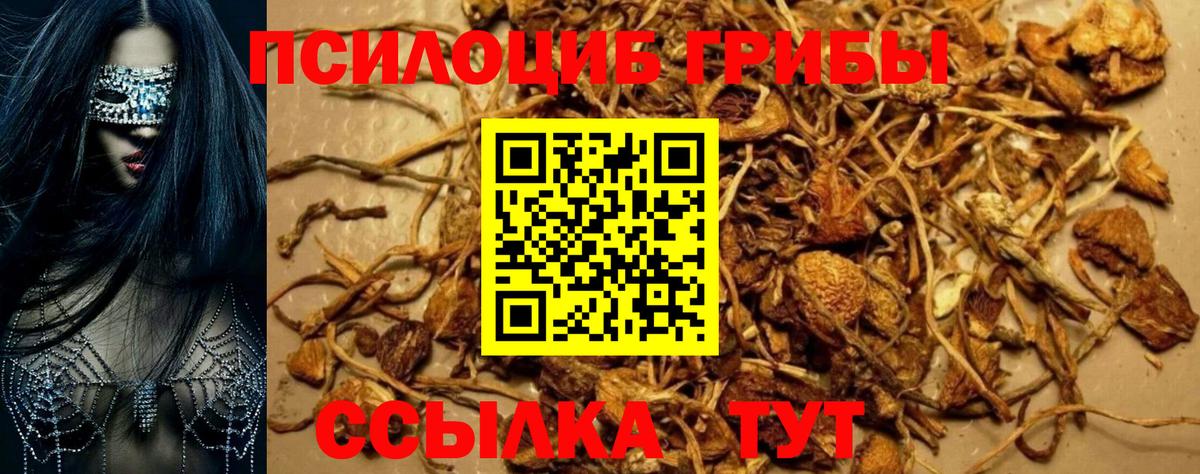 Галлюциногенные грибы GOLDEN TEACHER Октябрьский