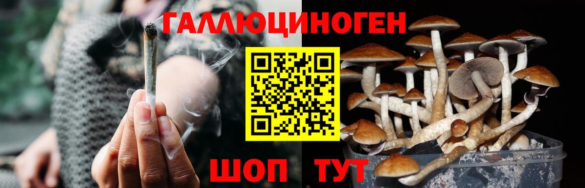 Псилоцибиновые грибы мухоморы  Вход с VPN  Октябрьский 